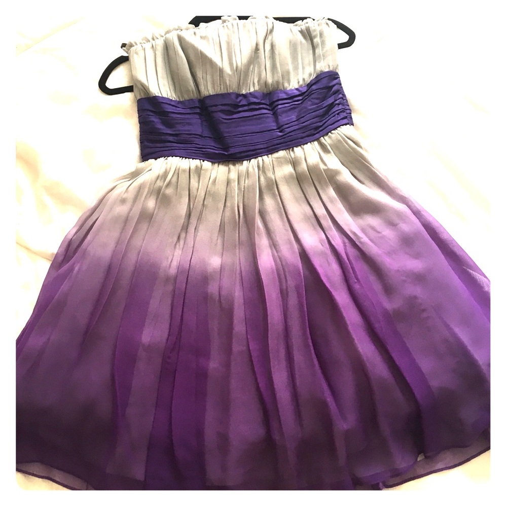 Betsey Johnson Purple Ombré silk and tulle dress
